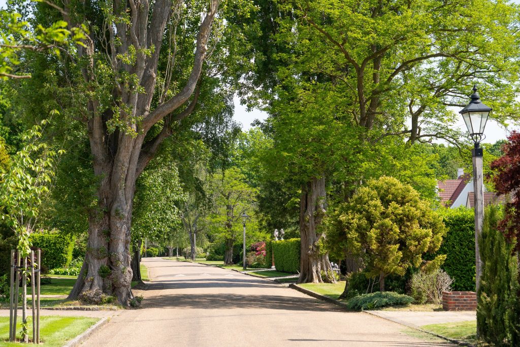 Trees and Gardens Farnborough Park