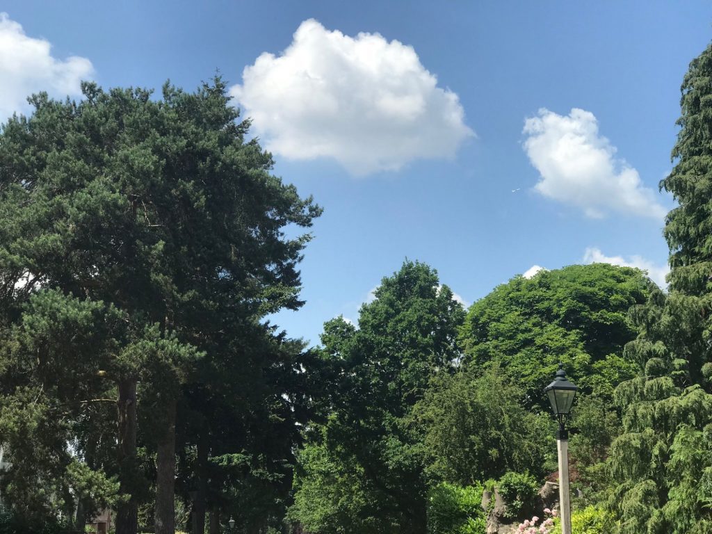 Trees and Gardens Farnborough Park
