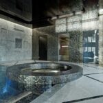 Alexander Sauna and Steam Room