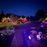 Amber Events